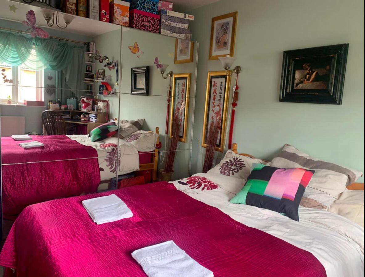 Gazde/Camere de închiriat Cosy In Wembley Londra